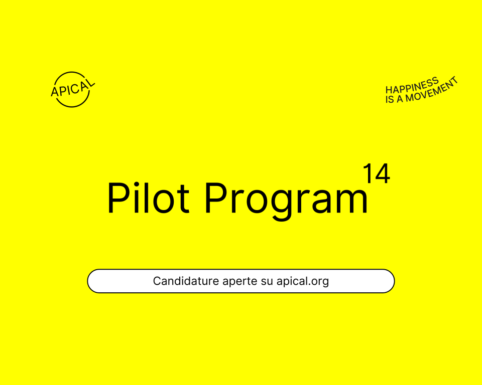 Pilot Program