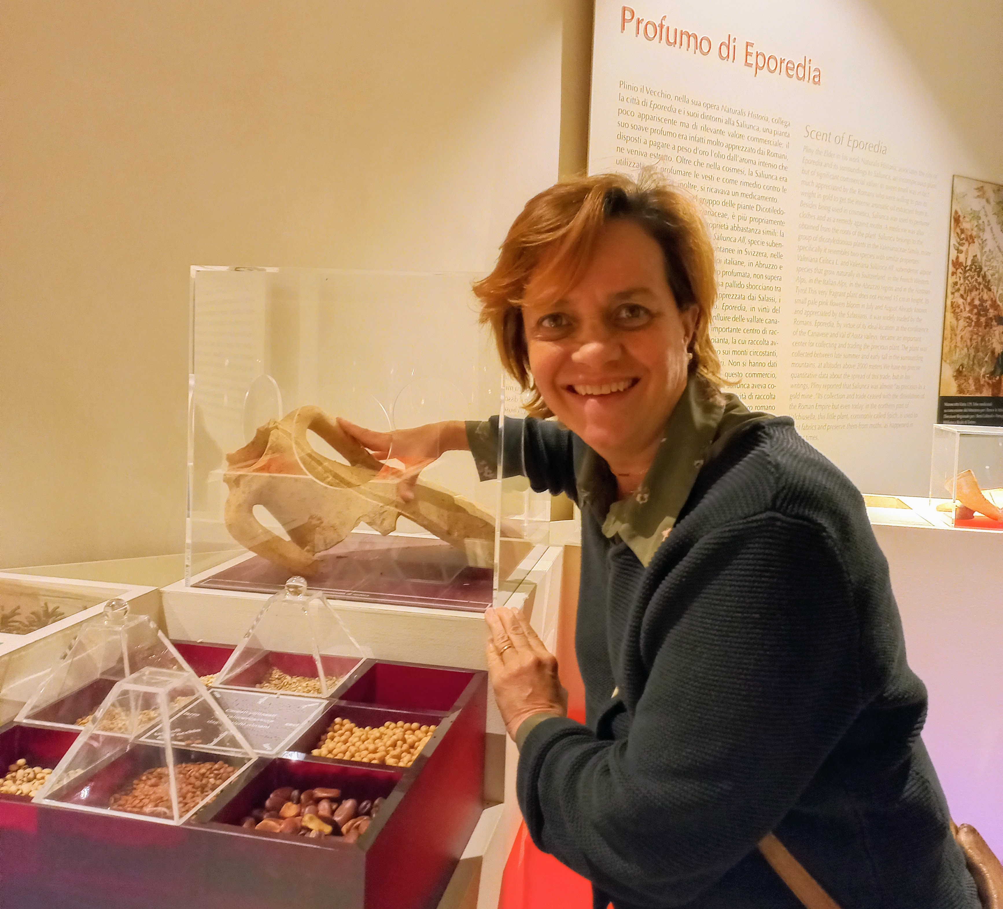 Luisa Museo Ivrea